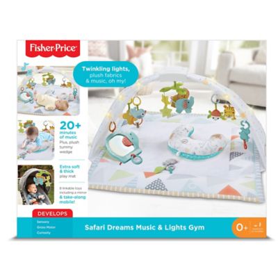fisher price safari play mat