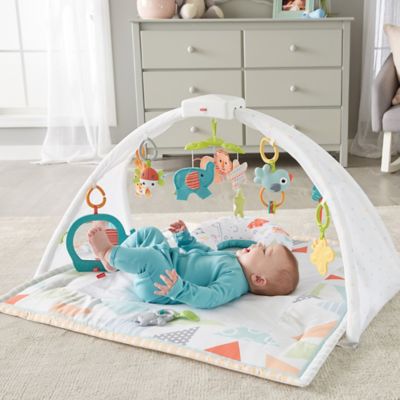 fisher price safari dreams music and lights gym
