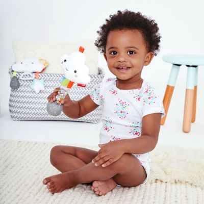 skip hop cloud rattle