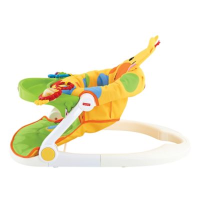 fisher price giraffe seat