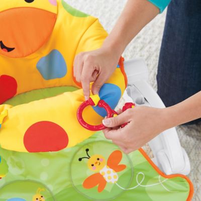 fisher price giraffe seat