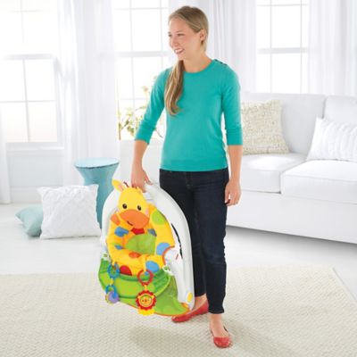 fisher price giraffe seat