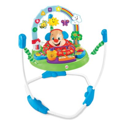 fisher price jumperoo price