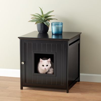 what kind of dog did teddy roosevelt have