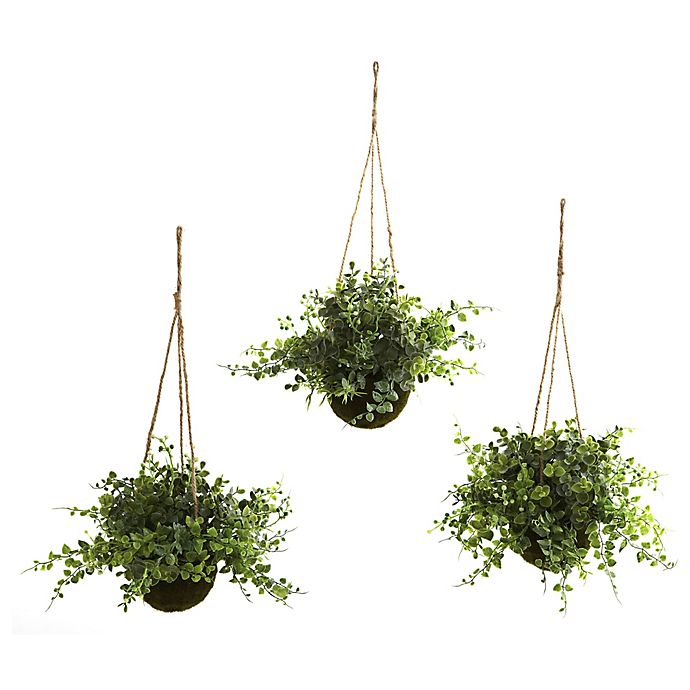 Nearly Natural Artificial Eucalyptus, Maiden Hair & Berry Hanging Plants (Set of 3)