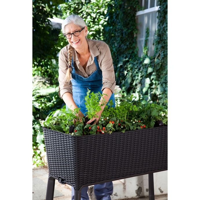 Keter Easy Grow Elevated Plastic Planter In Anthracite Bed Bath Beyond