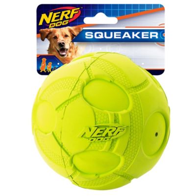 nerf dog squeak ball