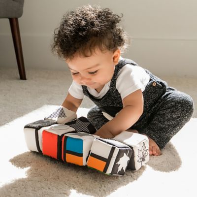 baby einstein infinity blocks