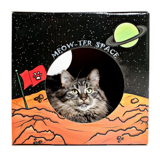 Kitty Cardboard Designer Meow Ter Space Box For Cats Bed Bath Beyond