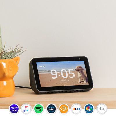 bed bath and beyond echo spot