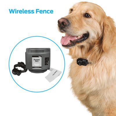premier pet wireless add a dog