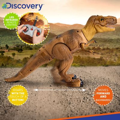 discovery kids remote control t rex