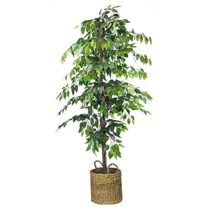 72 Inch Faux Ficus Tree In Basket Bed Bath Beyond