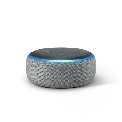 grey amazon echo