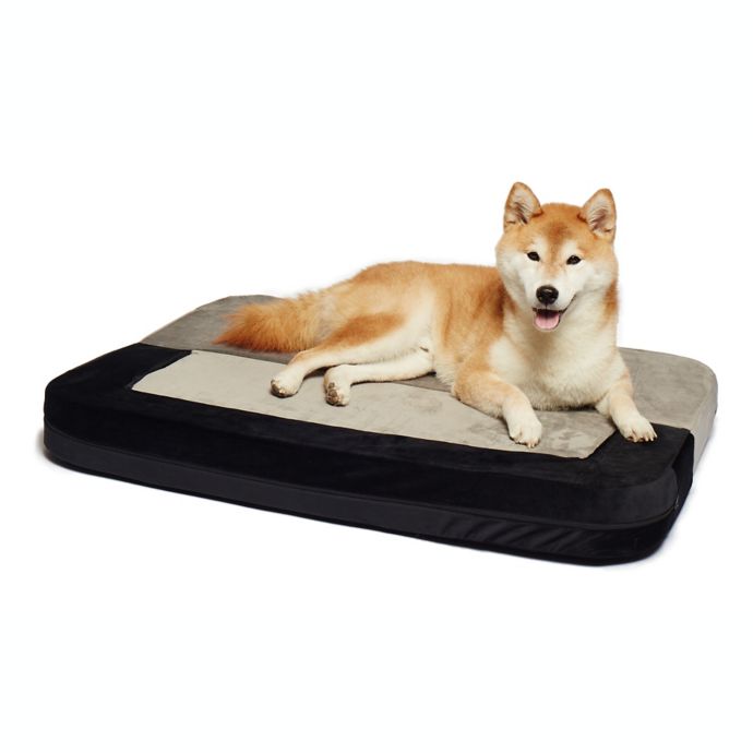 Precious Tails Restology Orthopedic Foam Convertible Sofa Pet Bed in ...