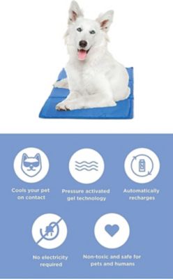 dog cooling mat bed bath and beyond