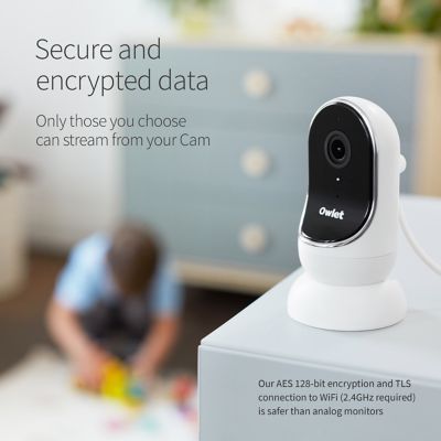 owlet camera notifications