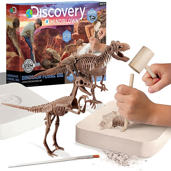 13 Dinosaur Eggs Dig Kit Bonus Stuffed Toy Carrier Glow Dark Chisel Brushes Card 