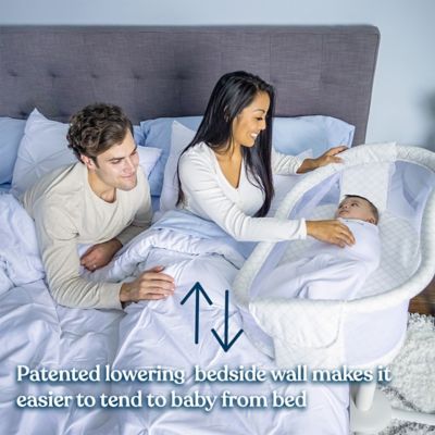 halo bassinest bed bath and beyond