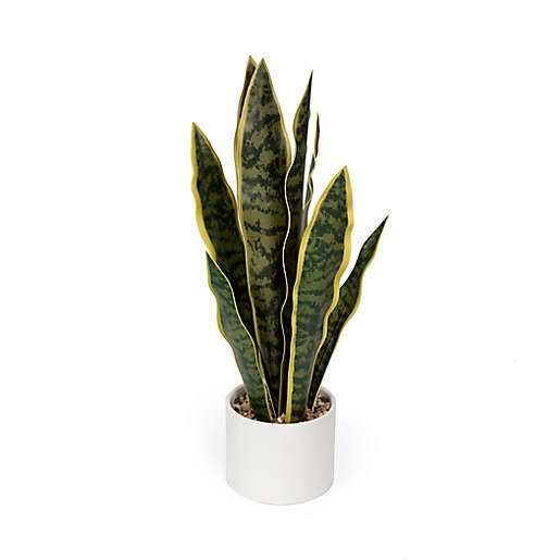 Shop Vunder 18-Inch Faux Snake Plant from Bed Bath & Beyond on Openhaus