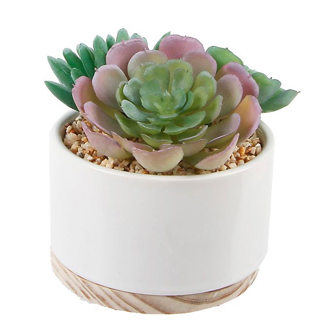 Flora Bunda 5-Inch Artificial Succulent Mix in Ceramic Pot