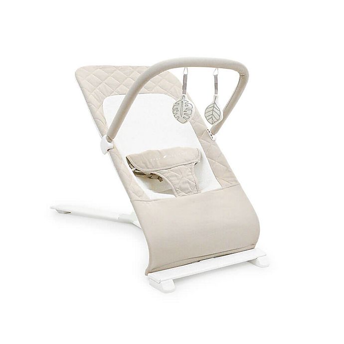 Baby Delight® Alpine Deluxe Organic Cotton Portable Bouncer in Oat