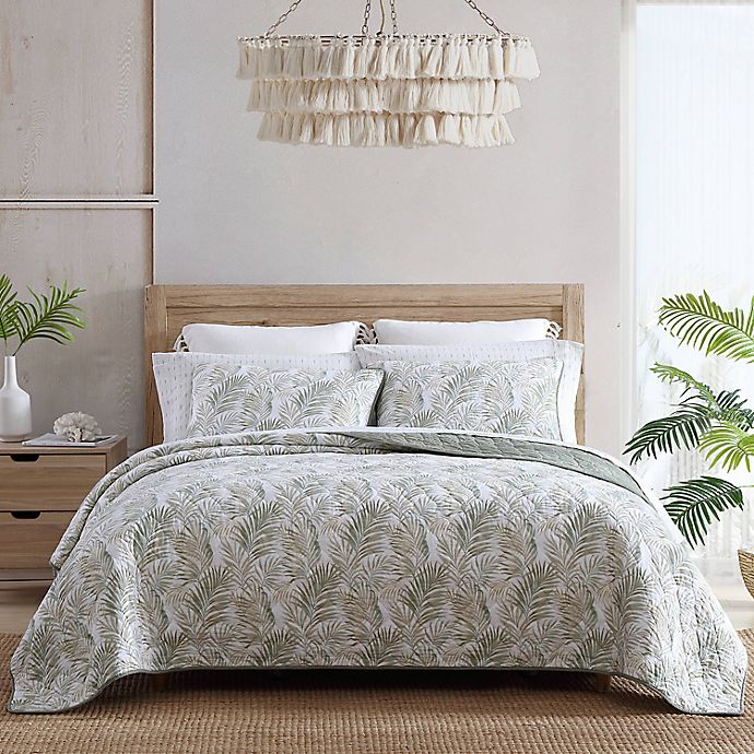 Tommy Bahama® Maui Palm Quilt Set in Sage Green