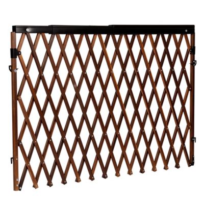 evenflo expansion swing wide gate