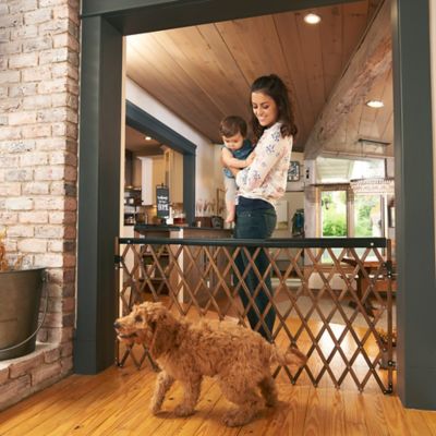 evenflo expansion swing wide wood gate