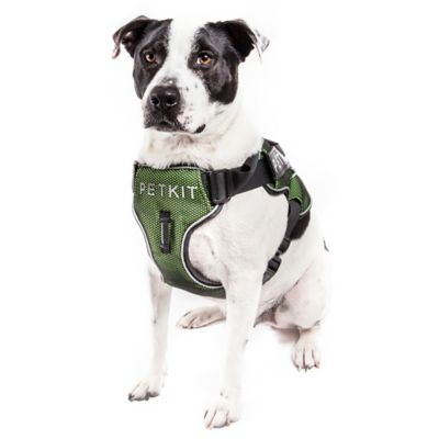 petkit harness