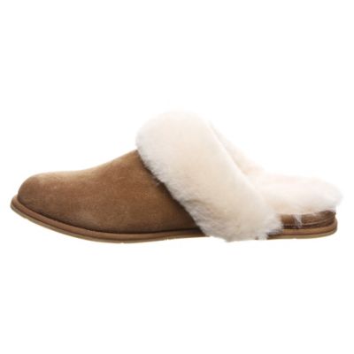 bearpaw ladon slippers