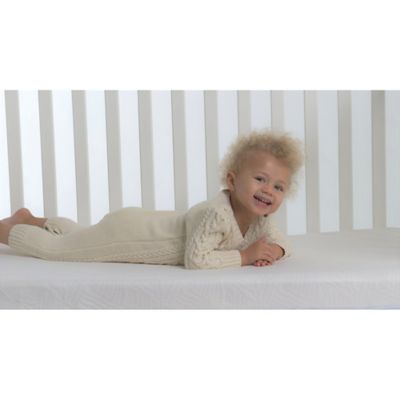 bundle of dreams crib mattress