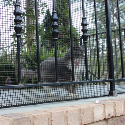 cardinal gates black outdoor safety netting