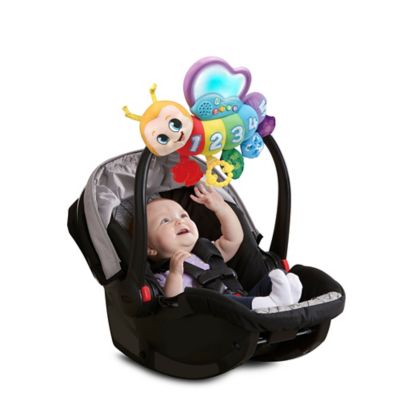 butterfly counting pal