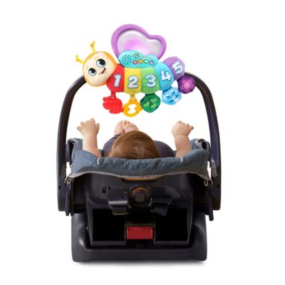 butterfly counting pal