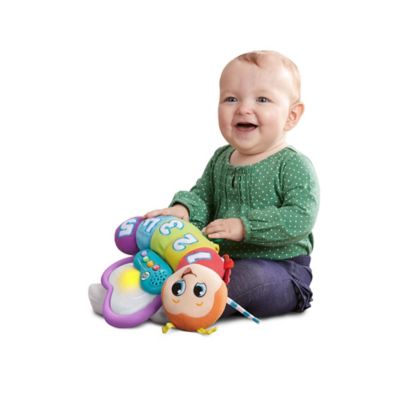 butterfly counting pal