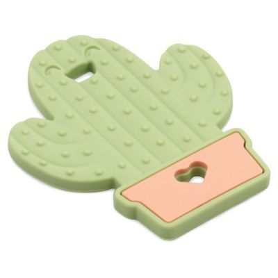 cactus teether