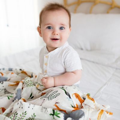 loulou lollipop safari