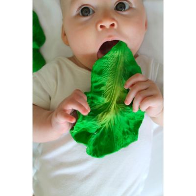 kale teething toy