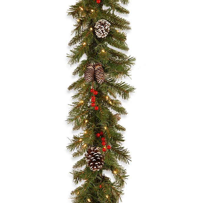 9 ft Frosted Arctic Spruce Garland with Clear Lights 
