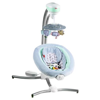 fisher and price swing