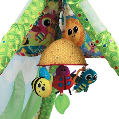 lamaze play gym