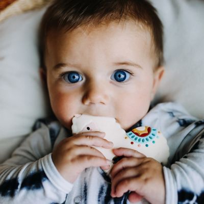 loulou lollipop llama teether