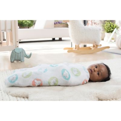 dumbo swaddle