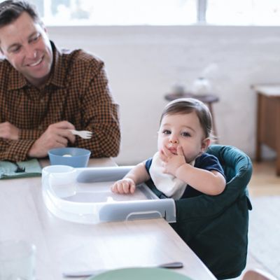 inglesina fast dining tray