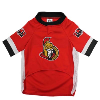 nhl dog jersey