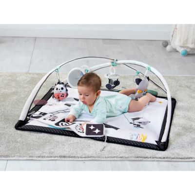 baby gym black and white