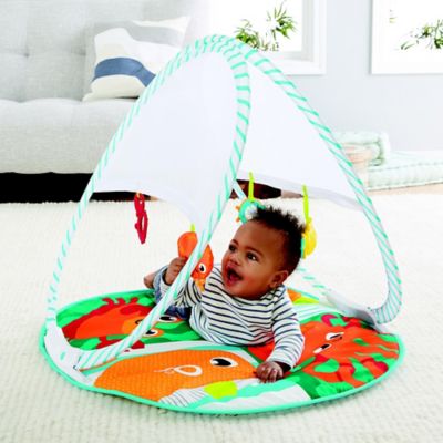 fisher price folding activity gym