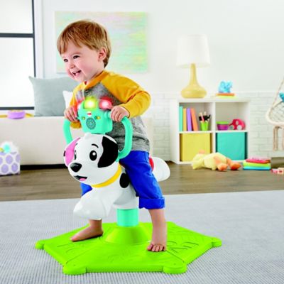 fisher price bounce and spin puppy