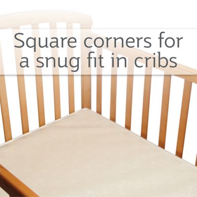 sealy nature couture soybean serenity